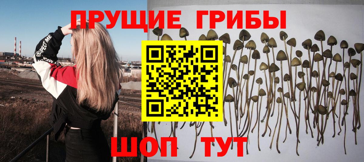 Псилоцибиновые грибы мухоморы Белово