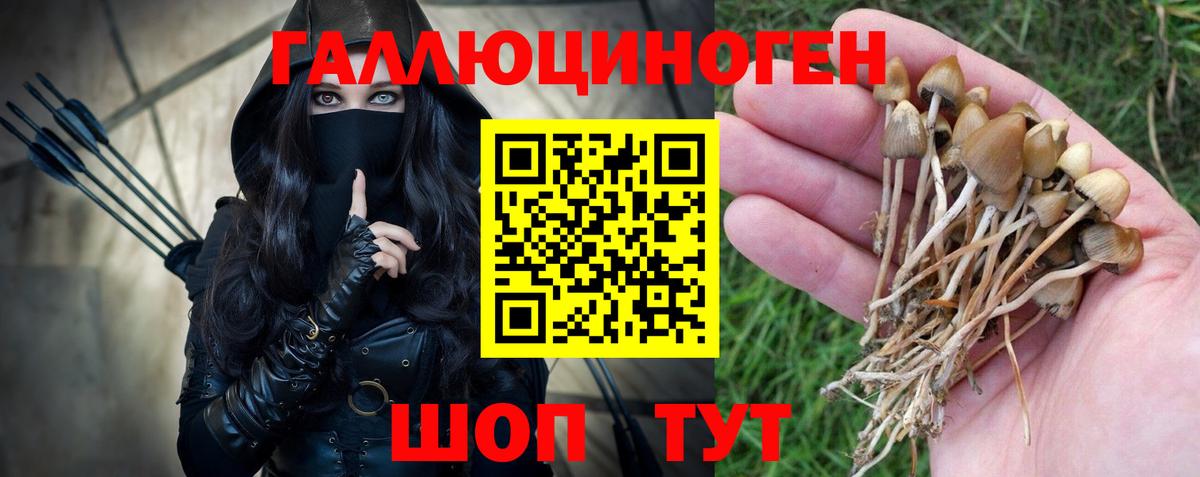 Псилоцибиновые грибы MAGIC MUSHROOMS  где купить   Белово  Вход с VPN 